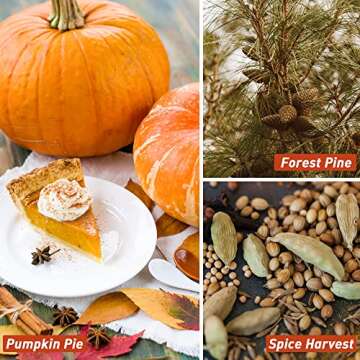Fall Fragrance Oil, ESSLUX Autumn Essential Oils Set, Soap Candle Making Scents, Fall Scented Essential Oils for Home Diffuser Laundry, Forest Pine, Orange Cinnamon, Pumpkin Pie, Maple Syrup, 6X10 ml