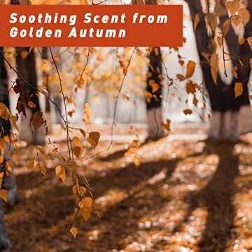 Fall Fragrance Oil, ESSLUX Autumn Essential Oils Set, Soap Candle Making Scents, Fall Scented Essential Oils for Home Diffuser Laundry, Forest Pine, Orange Cinnamon, Pumpkin Pie, Maple Syrup, 6X10 ml