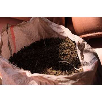 Brundo Market Koseret Ethiopian Culinary Herb 2 Ounce