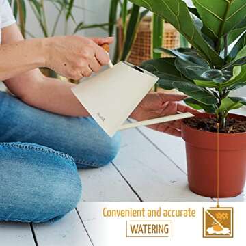 Chic AnaVeRa Watering Can for Indoor Plants 30 OZ