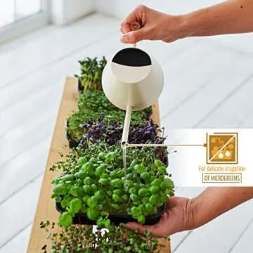 Chic AnaVeRa Watering Can for Indoor Plants 30 OZ