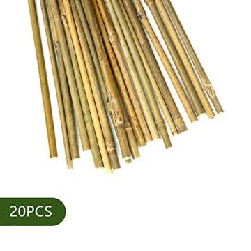 Pllieay 20pcs 12 Inch Plant Stakes, Garden Stakes, Bamboo Stakes, Plant Support Stakes for Indoor Pl...