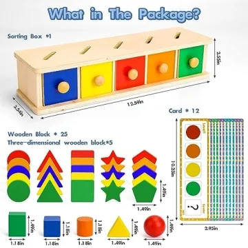 Wooden Montessori Toys for Toddlers Shape & Color Sorting