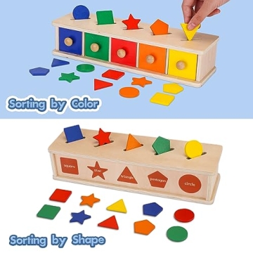 Wooden Montessori Toys for Toddlers Shape & Color Sorting