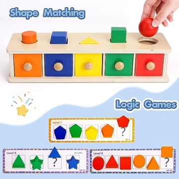 Wooden Montessori Toys for Toddlers Shape & Color Sorting