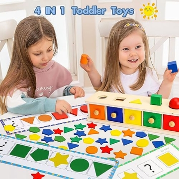 Wooden Montessori Toys for Toddlers Shape & Color Sorting