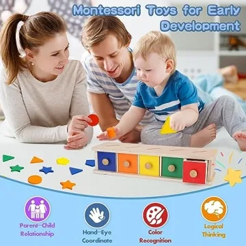 Wooden Montessori Toys for Toddlers Shape & Color Sorting
