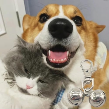 JANEMO Mini Brass Dog Collar Bell for Cats and Dogs