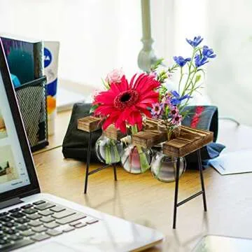 LESES Plant Propagation Stations Desktop Air Plant Terrarium, Glass Planter Bulb Glass Vase with Wood Stand Propagation Station for Hydroponics Plants Home Office Garden Decor Brown