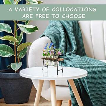 LESES Plant Propagation Stations Desktop Air Plant Terrarium, Glass Planter Bulb Glass Vase with Wood Stand Propagation Station for Hydroponics Plants Home Office Garden Decor Brown