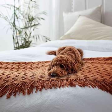 NexHome Throw Blankets for Couch Rust Decorative Knit Blanket with Tassel Fringe Soft Lightweight Zigzag Textured Boho Throws (50"x60" Rust Brown)