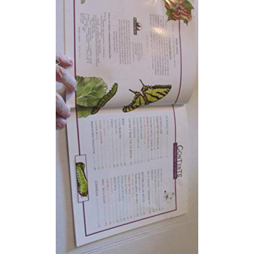 Caterpillars, Bugs and Butterflies Guide for Kids