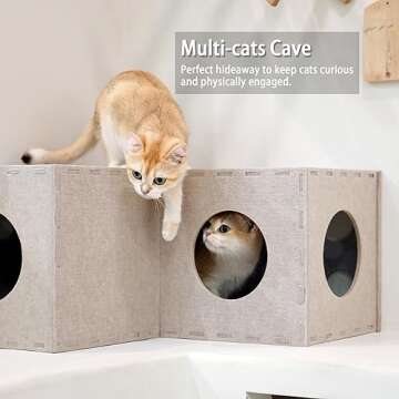 Durable and Fun PETKARAY Cat Tunnel for Indoor Cats