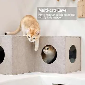 Durable and Fun PETKARAY Cat Tunnel for Indoor Cats