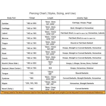 PunkTracker 16g/18g Surgical Steel Internal Thread CZ Stud Piercing Jewelry for Tragus/Nose/Helix/Conch/Medusa/Lip/Labret - Helix Tragus Cartilage Earring for Women Men 2PCS