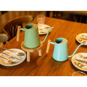 Chic 35oz Sage Green Indoor Watering Can for Plants