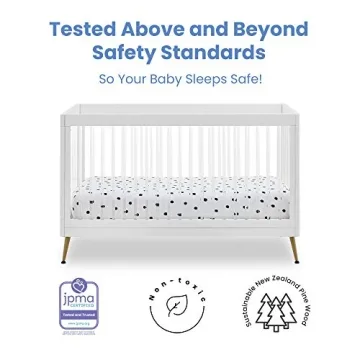 Delta Children Sloane 4-in-1 Acrylic Crib with Conversion Rails