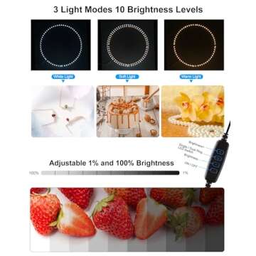 PULUZ Light Box Photography, 20x20 inch Large Photo Light Box with 200 LED Beads, CRI >95, Professional Portable Photo Booth Shooting Tent Kit with 12 Color Backdrops for Product Photography