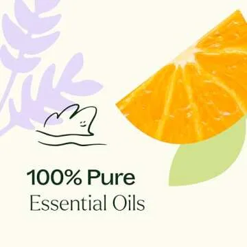 Pure Plant Therapy Meditation Essential Oil Blend 10 mL