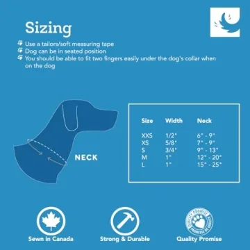 RC Pets 1 Inch Adjustable Dog Collar for Large Dogs