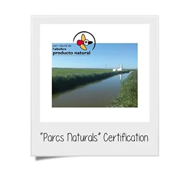 Authentic Arroz Dacsa Bomba Rice - Perfect for Paella