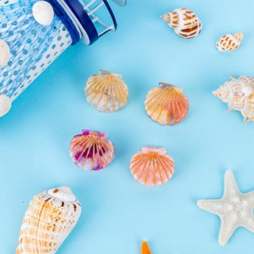 YARIEW Seashell Mini Hair Claw Clips for Stylish Hairstyles