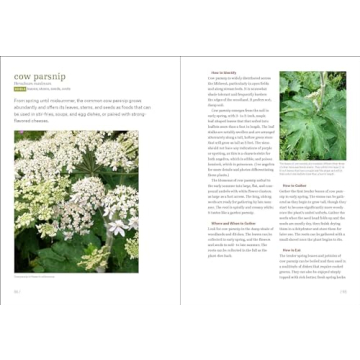 Midwest Foraging Guide: 115 Wild Edibles for Families