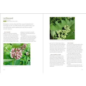 Midwest Foraging Guide: 115 Wild Edibles for Families