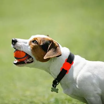 SWINCHO Airtag Dog Collar Holder, 2 Pack Dog Airtag Holder, Anti-Lost Protective Apple Air Tags Holder for Pet Collar(Red&Black)