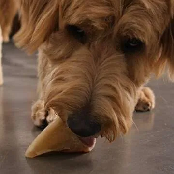 Pawstruck Peanut Butter Filled Cow Hooves for Dogs