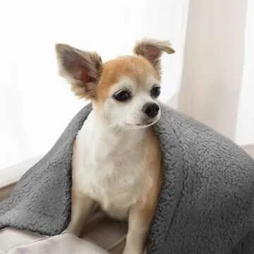 furrybaby Dog Blanket Soft Dog Blankets for Large Dogs Puppy Essentials Washable Sherpa Fleece Cat Blanket 32x40 Inches for Bed Furniture Couch Sofa (Medium, Grey)