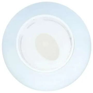 Primal Kitchen Avocado Oil Spray, Whole 30 Approved & Cold Pressed, 1 Can - 4.7 Ounce