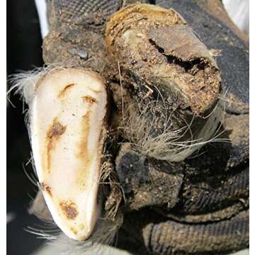 Hoof Boss Mobile Goat Hoof Trimmer Set - Easy to Use Tools