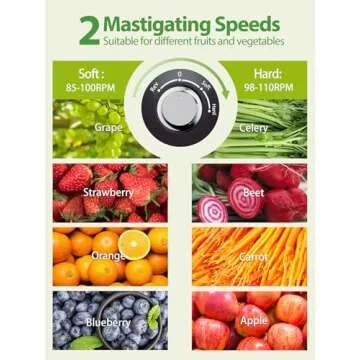 Aeitto Slow Masticating Juicer for Healthy Nutrient-Rich Juice