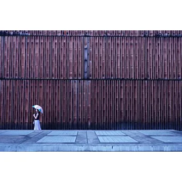 Sony Alpha A6100 Mirrorless Camera with 16-50mm Zoom Lens, Black (ILCE6100L/B)