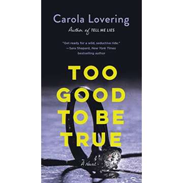 Too Good to Be True Psychological Thriller Novel