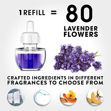 Air Wick Lavender & Chamomile Scented Oil Starter Kit