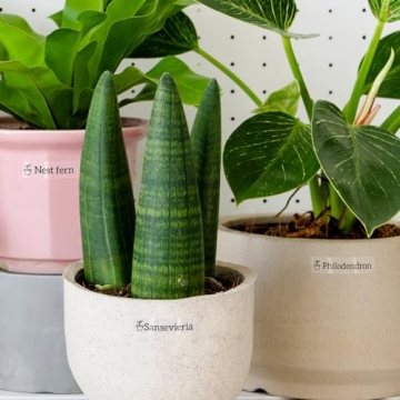 TZe-131 Compatible Brother P-Touch Label Tape 3-Pack