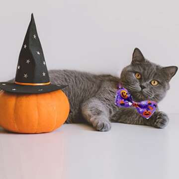 Halloween Cat Collar with Bell - Breakaway Bow Tie Design