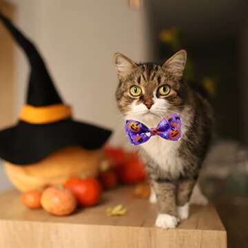 Halloween Cat Collar with Bell - Breakaway Bow Tie Design