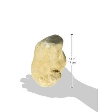 Ware Manufacturing Gorilla Chew - Large, Long Lasting Wood Chew Toy for Dogs