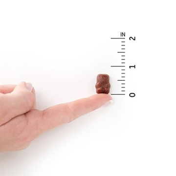 Organic Kids Gummy Vitamins Vegan Non-GMO & Gluten-Free