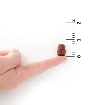 Organic Kids Gummy Vitamins Vegan Non-GMO & Gluten-Free