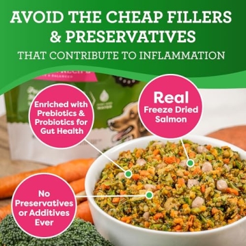 Limited Ingredient Salmon Dog Food for Sensitive Dogs