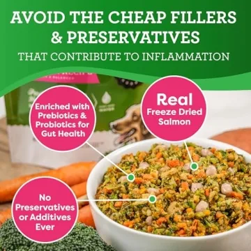 Limited Ingredient Salmon Dog Food for Sensitive Dogs