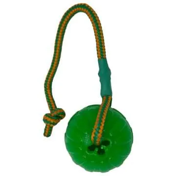 Starmark Everlasting Fun Ball on Rope Dog Toy