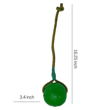 Starmark Everlasting Fun Ball on Rope Dog Toy