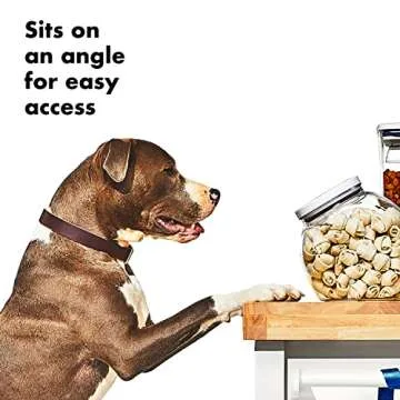 OXO Good Grips Pet POP Container – 3.0 Qt/2.8 L | Ideal for up to 2lbs of treats | Airtight Dog and Cat Food Storage Container | BPA Free
