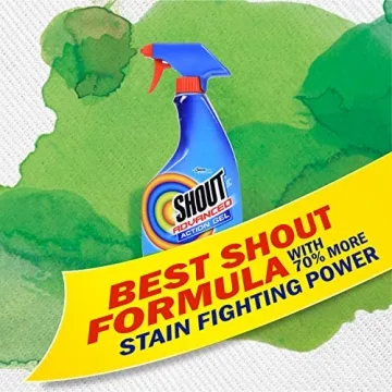 Shout Advanced Stain Remover Gel for Tough Stains
