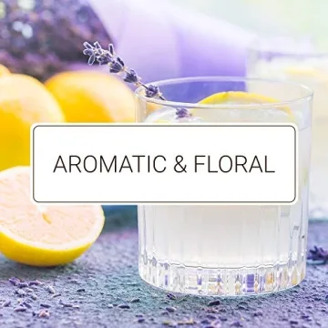 Monin Lavender Syrup - Perfect for Cocktails and Lemonades